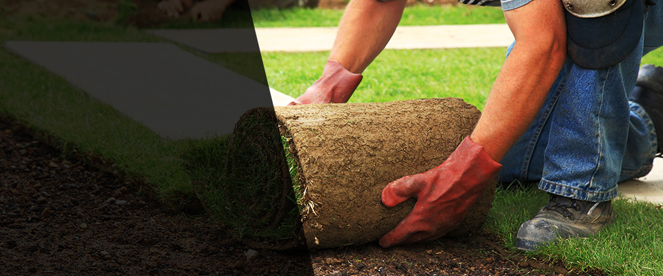 Wyandanch Landscapers